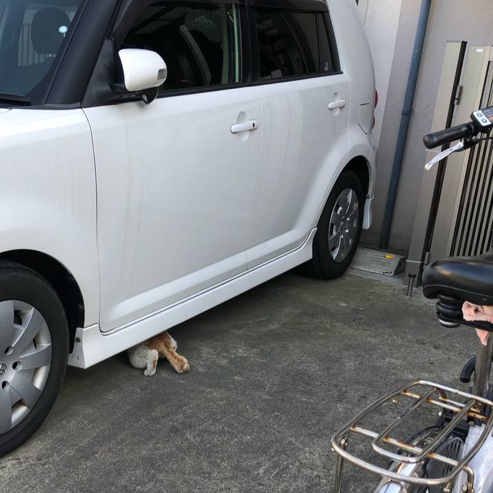 3acf46e0 6f0c 44cb bbae 118c79aa0aa6 1620576082251