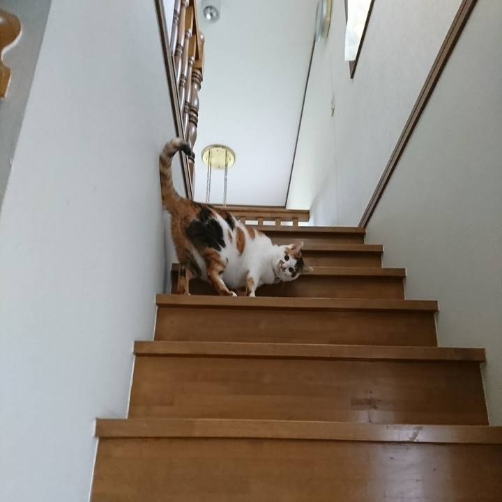 3acfa9d2 5ba0 435c 8a71 3139491fcf5e 1523571807137