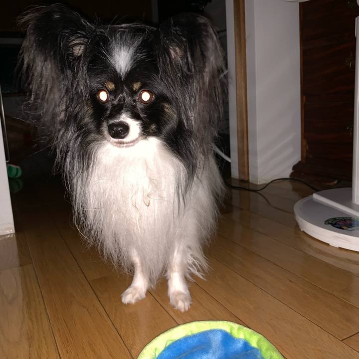 3acfea17 b25c 4b4b 885b 460eec46e262 1569277207574