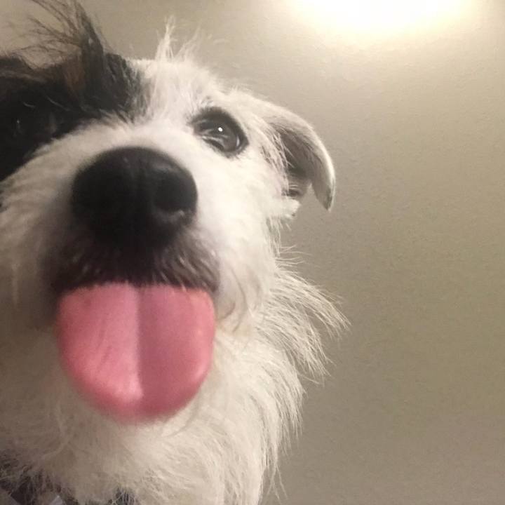 3acffad4 76d0 4357 a94f 17d632ad766c 1530883746516