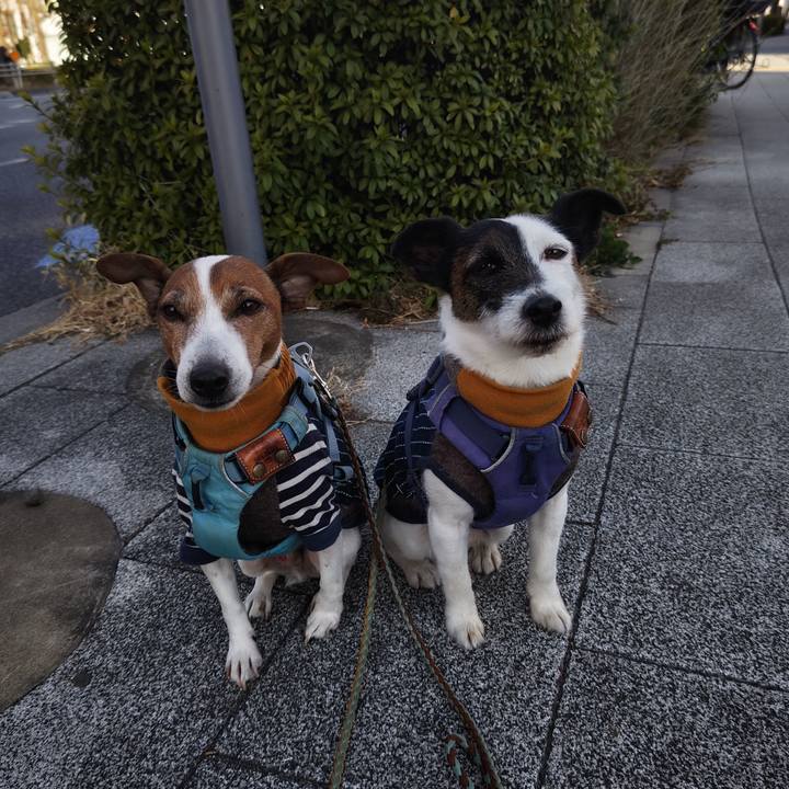 3ad00324 b649 4ad2 8600 973bb4b83a55 1740798609444