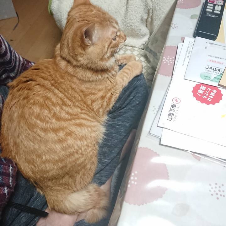 3ad00c46 4a23 4909 a3d3 bdf818d37fff 1642279605726