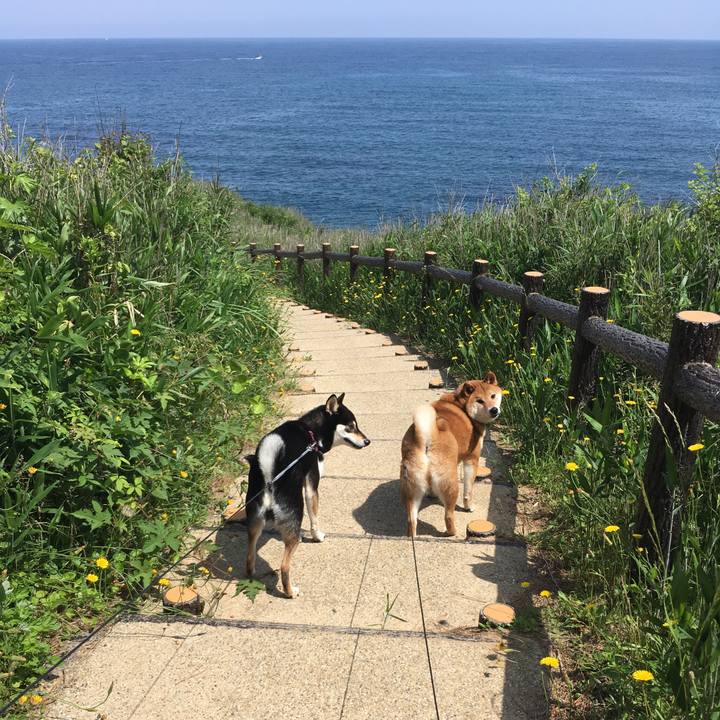 3ad01228 f863 4130 9dfd 2fb9fe05e8a7 1527413771871