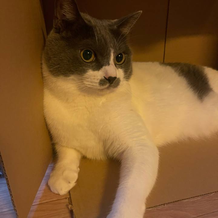 3ad03c96 e830 4525 a8a6 48fa8ba72953 1753228413986