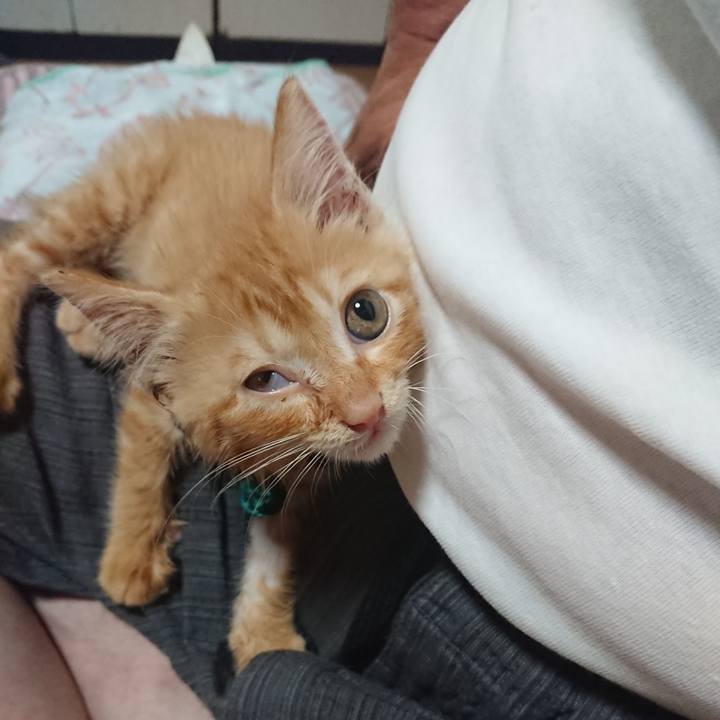 3ad0716d c4d2 406a a452 d56c4a68f75e 1627938748023