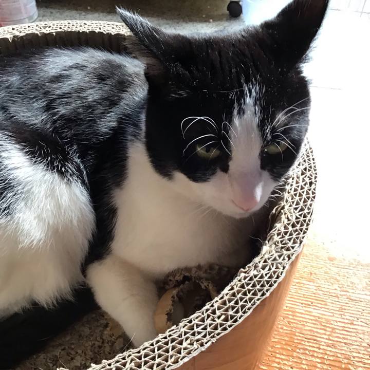 3ad07a42 cda8 4d49 9535 2027dc214a8d 1708763384776