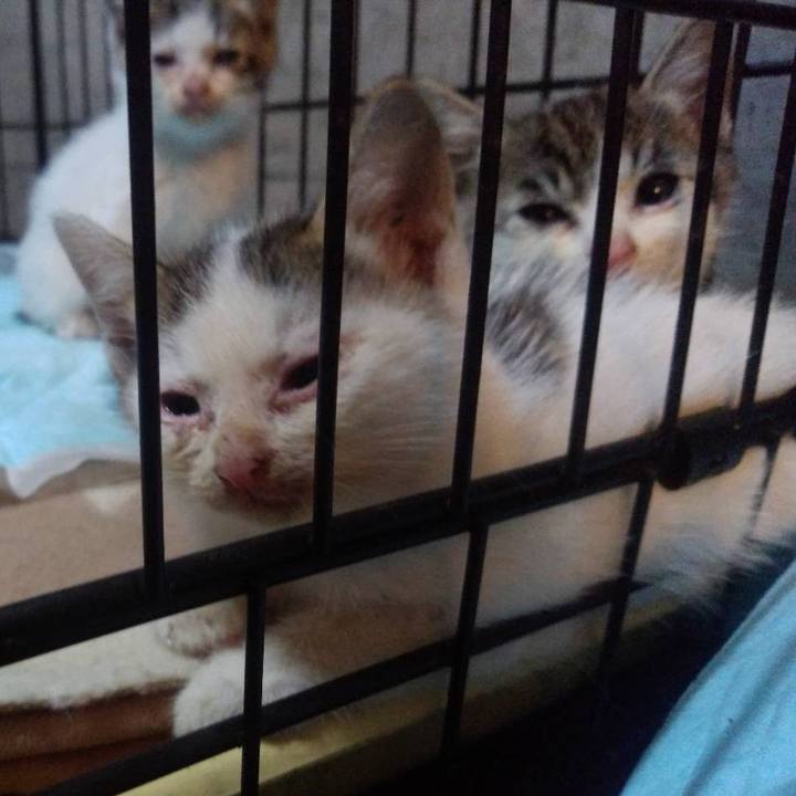 3ad097f1 b09e 49ef adc7 904e21960482 1694317340798