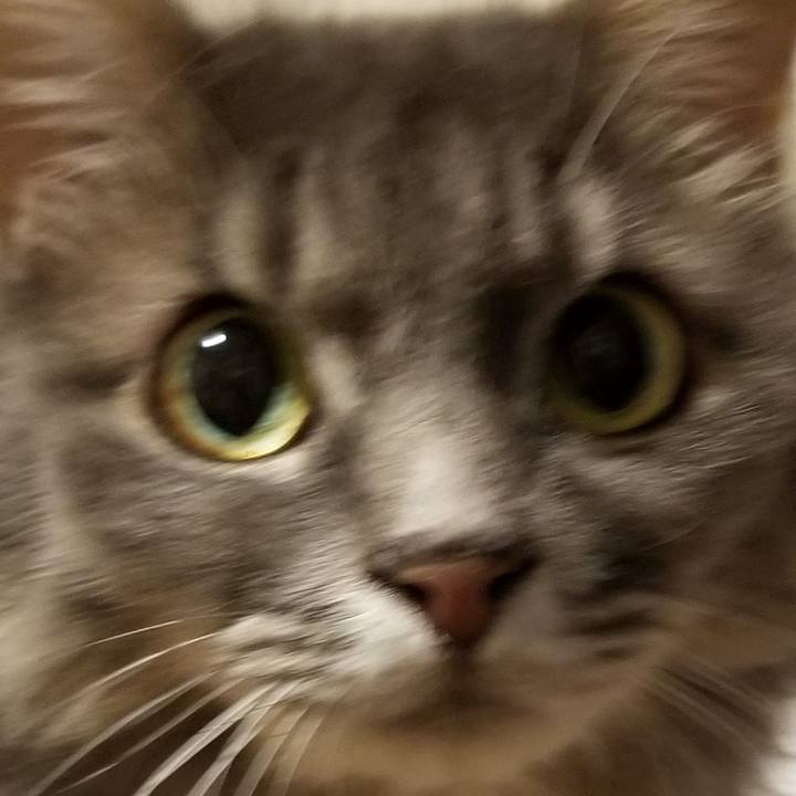 3ad0a72b 096b 49ff a4f4 1a51cdfac915 1570277202005