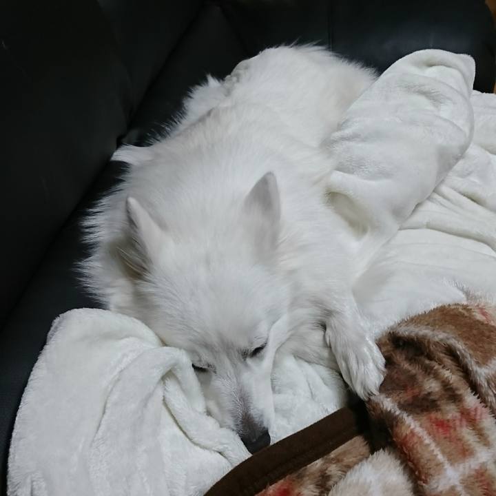 3ad0b979 57c9 4ffc 9ea5 c841cc0f34f3 1515776618308