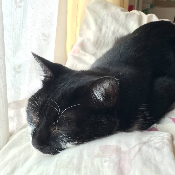 3ad0d436 04c9 4269 b7c4 db04fd436ba4 1571112147385