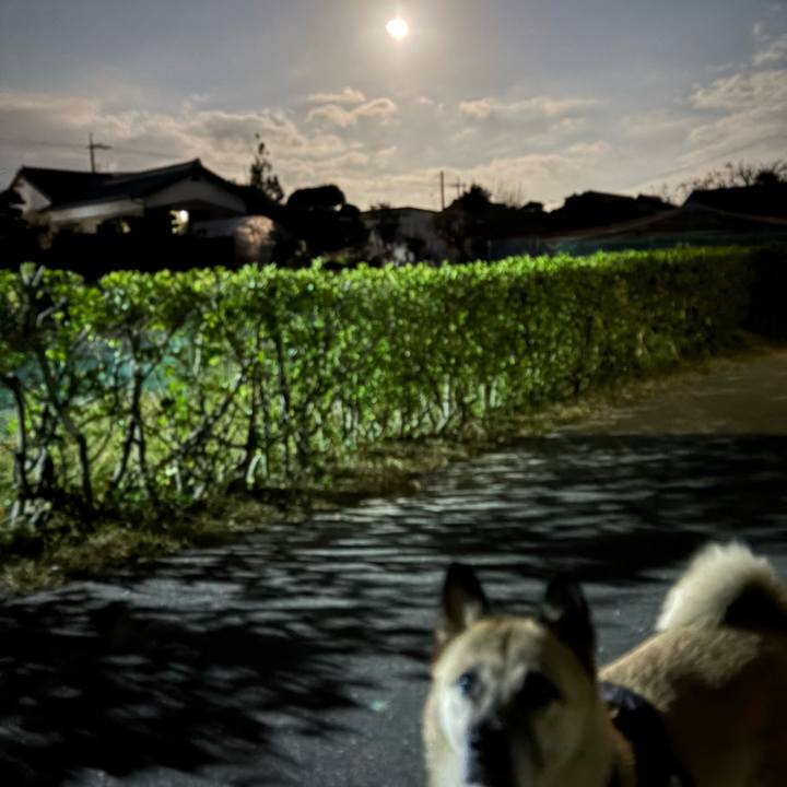 3ad0ed30 66bc 4b66 8fa4 21b8f522aaf4 1762346540025