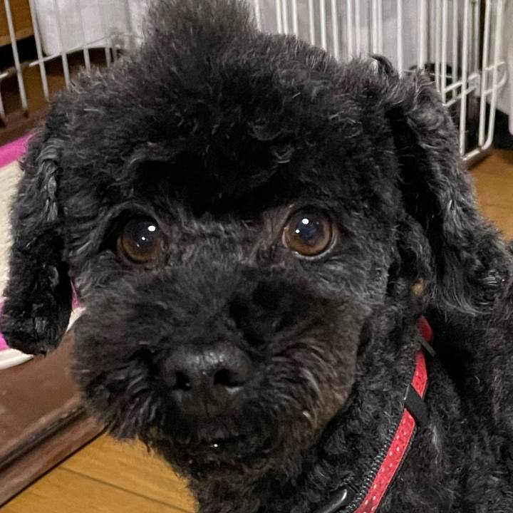 3ad13f2d 15b7 42e9 a7c5 50763b11a2aa 1676190988898