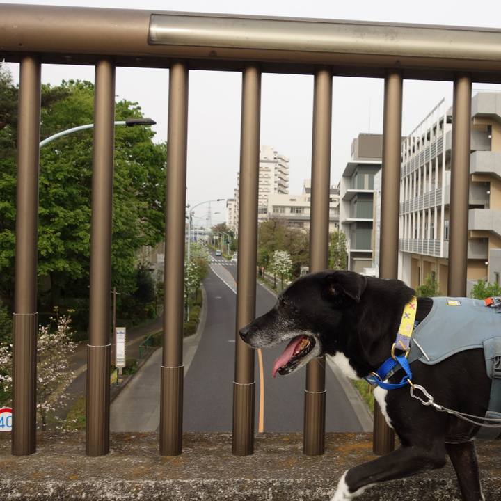 3ad1487b 245d 4ffa 9ebe b7ef12b7cf00 1744936136987