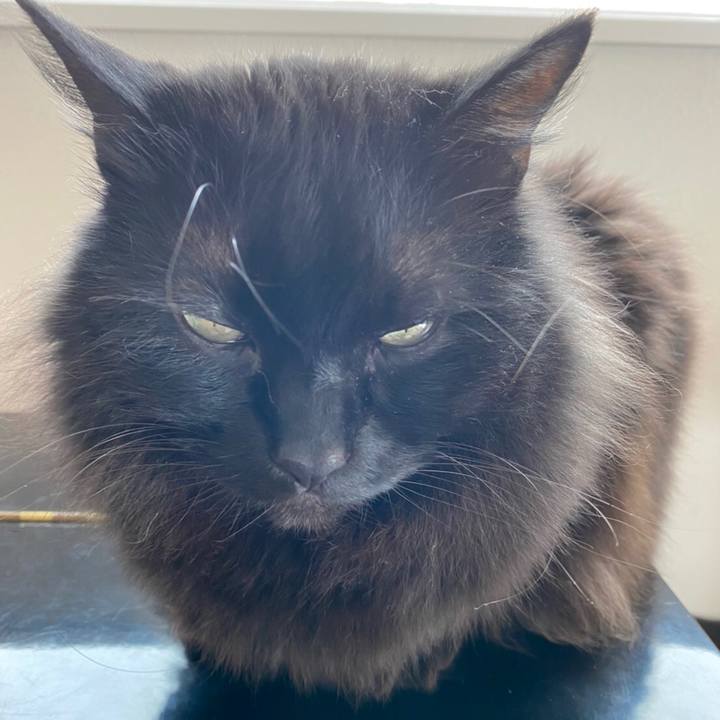 3ad17a03 6118 4da2 8b2d deccf4b3597e 1583424104141