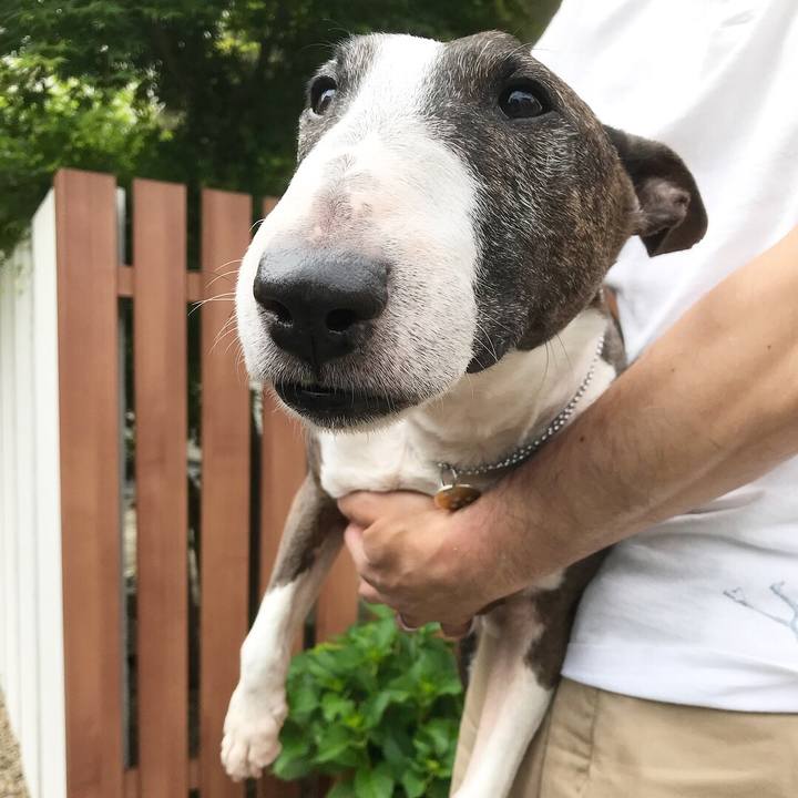 3ad17aca bc90 42eb a9de bde091ec05ed 1526705376801