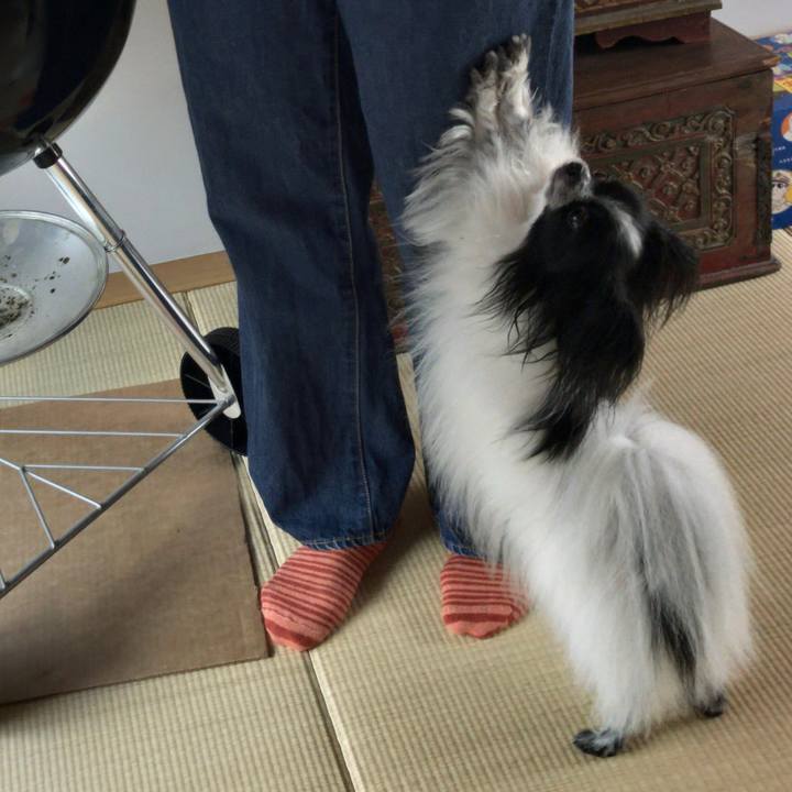 3ad17e63 5b38 40ae a62e a39e9cdf67a9 1533955418901