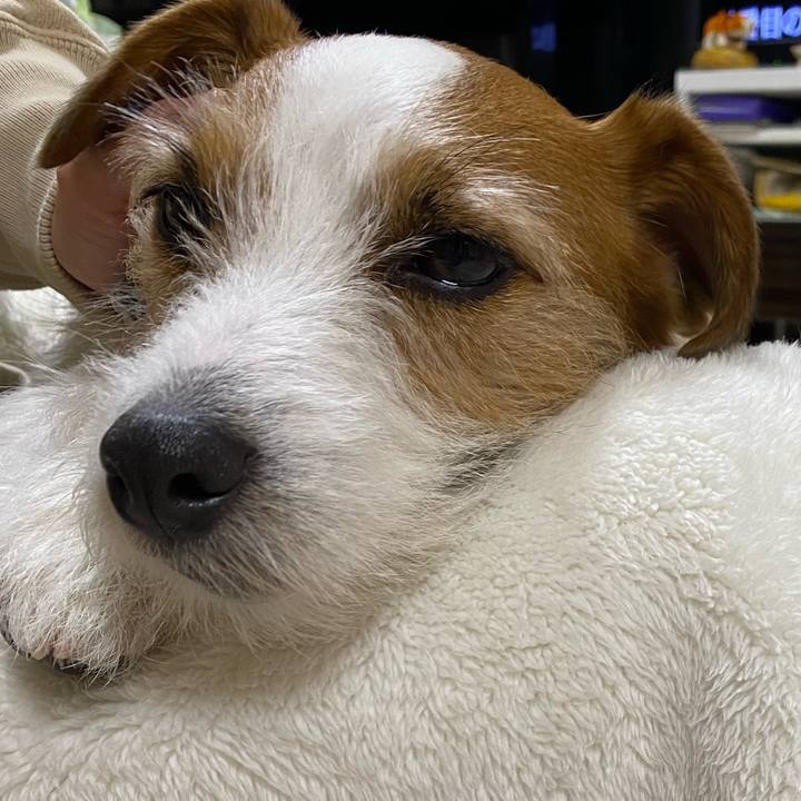 3ad1969d a1f3 4752 81c6 53d77991e343 1741268282452