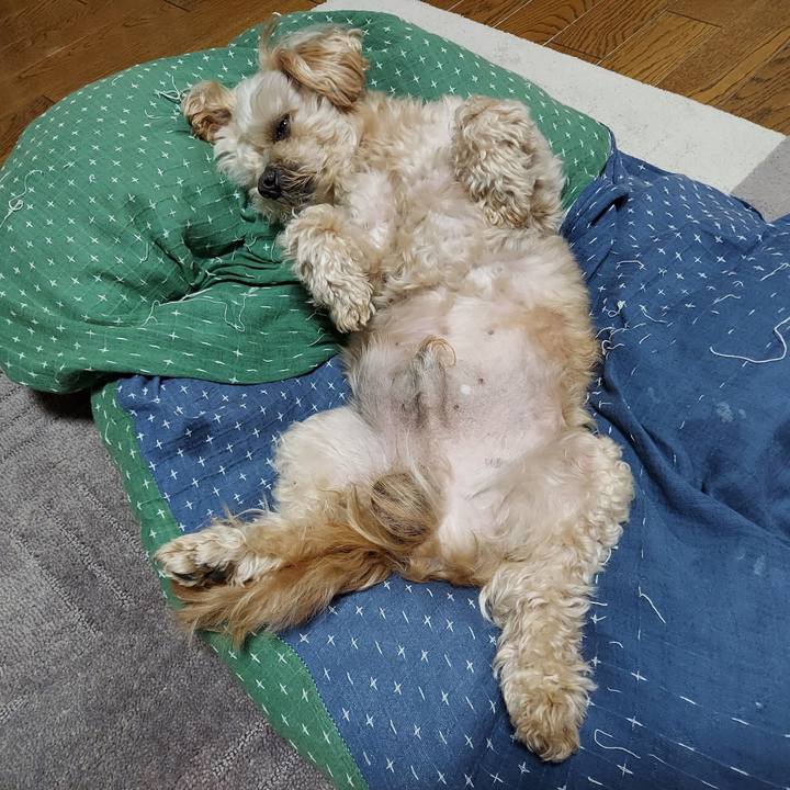 3ad1ad33 e57c 4a52 ba9f fa4dd78b61b6 1622206561353