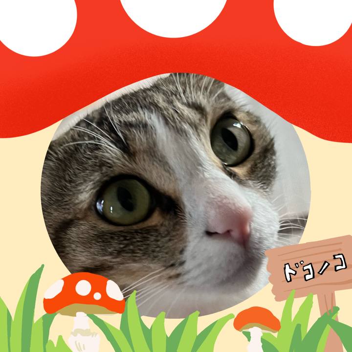 3ad1fe2e dc91 49a8 828b 5572f1c50415 1729303890452