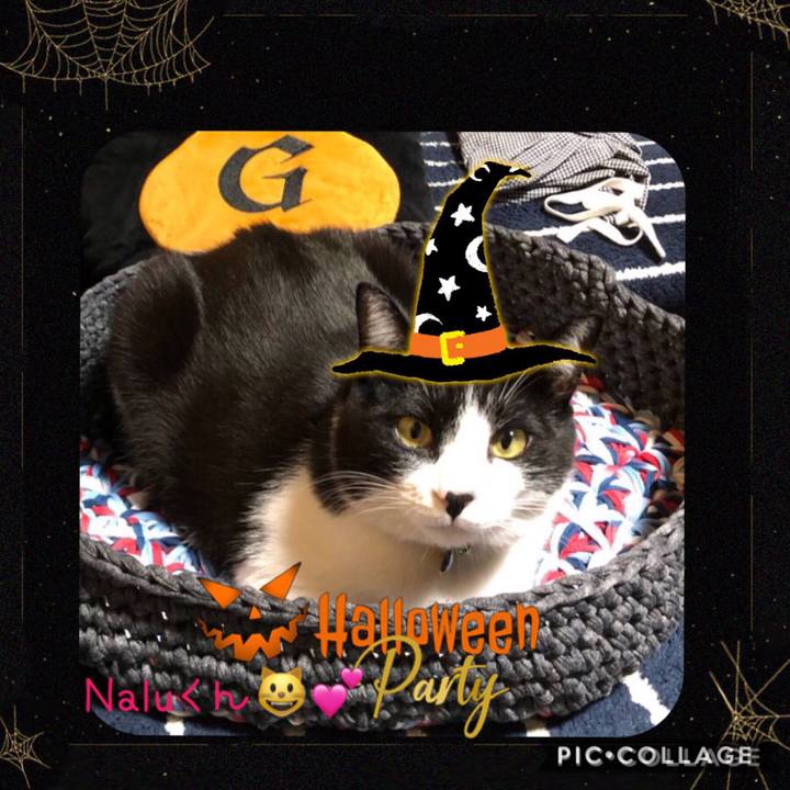 3ad30004 eb2f 48c9 9b52 d130b51af6f0 1571896350148