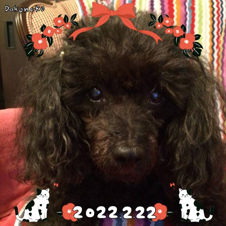 3ad33e9c d91f 4b66 8541 c47b9c1170a0 1645507799240