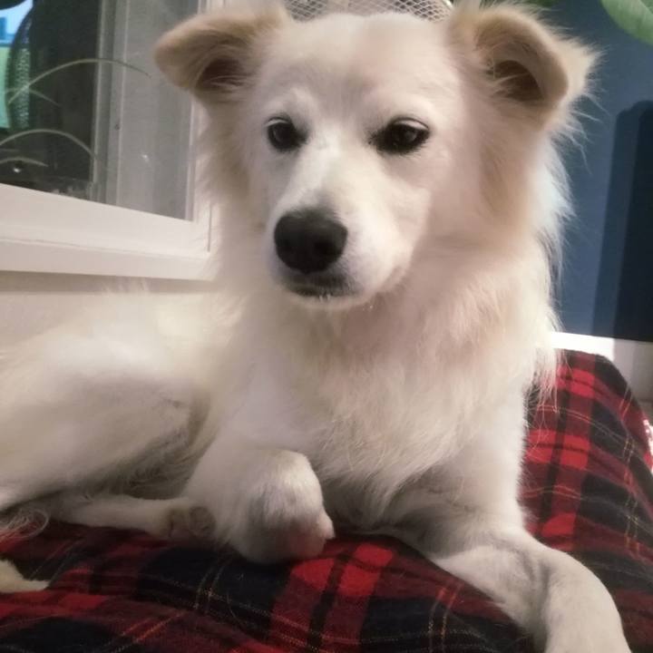 3ad35cfd c9fe 443c 9b8f ac15294926b8 1510044897211