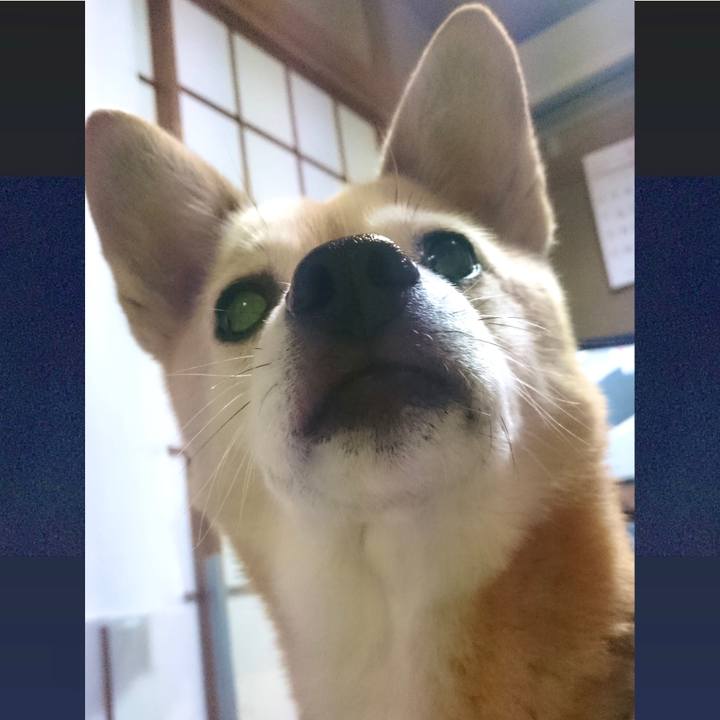 3ad37d45 ed84 4053 986e fb9c68a5887f 1617431070773