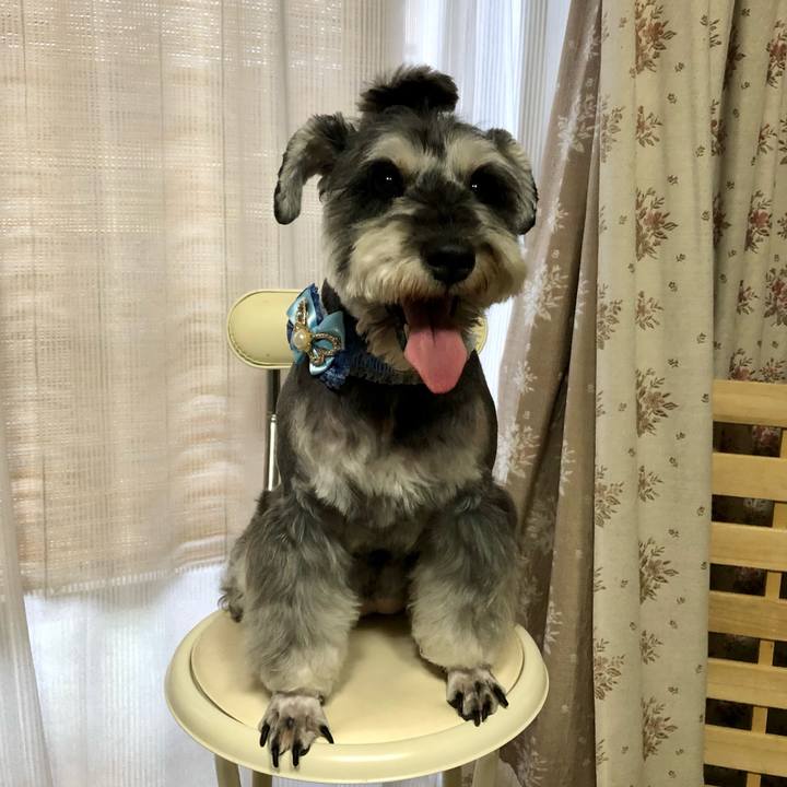 3ad3932f 55f4 451f 958a f1cf7f775bda 1631178588502