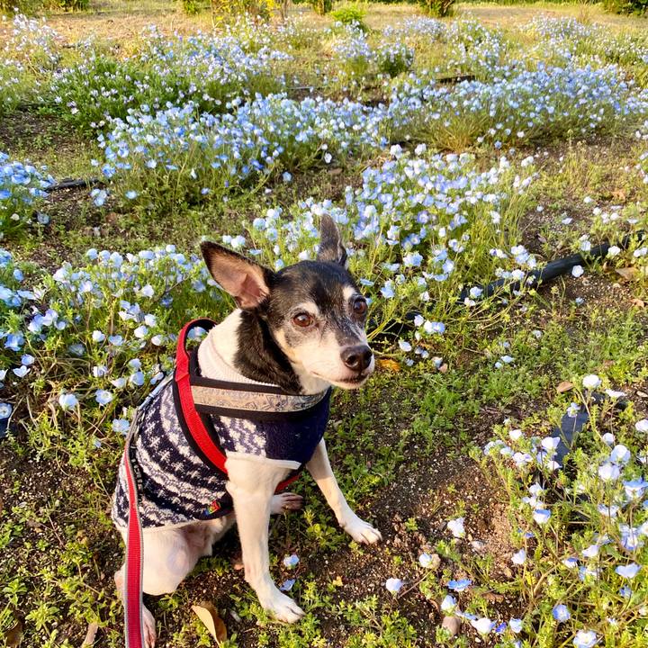 3ad40860 7961 4973 b38c 1122d3f830ad 1587094613062