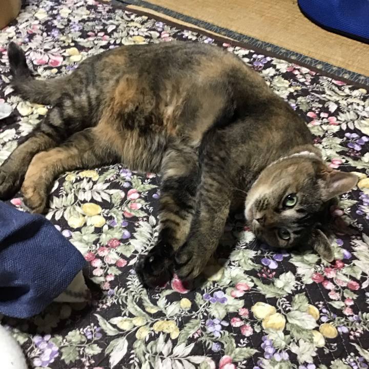 3ad41932 2317 494b b73d f5104bce4bbe 1745916824957