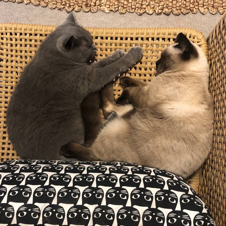 3ad4351a 8f48 47ed 9c96 5a1e516e6588 1597911270857