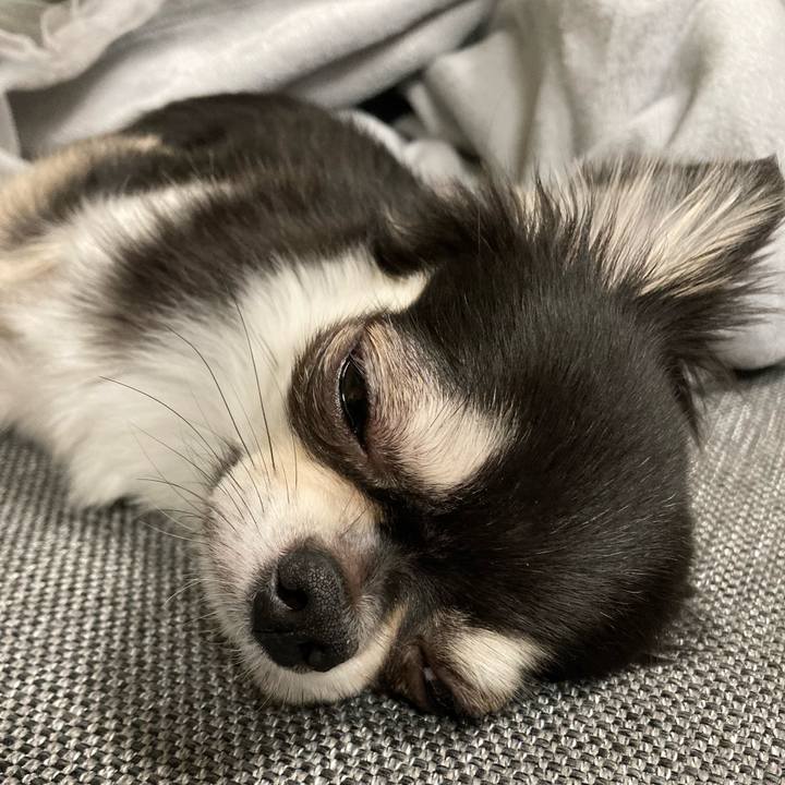 3ad450af 2087 4f19 b881 5161297ef5a9 1627033796867