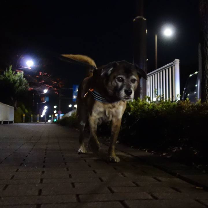 3ad45bea 643d 4170 b2a9 4f6e5786a74c 1512209816307