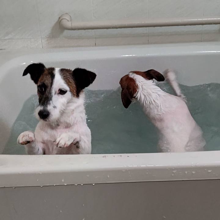 3ad47b79 c4d7 4ea8 8354 e91cd3b7bac5 1621760289247