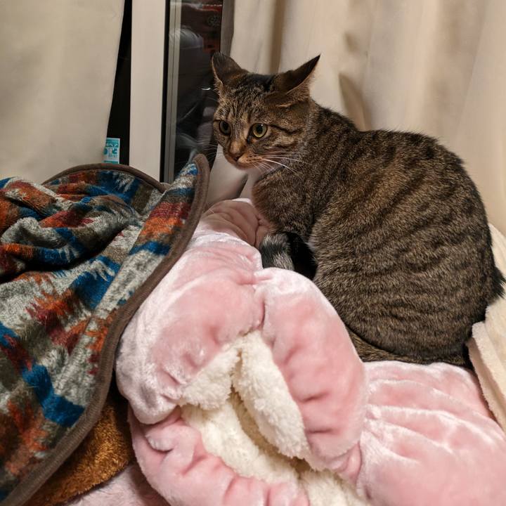 3ad48fa4 803c 4627 a289 aa7ebc983065 1698742088130