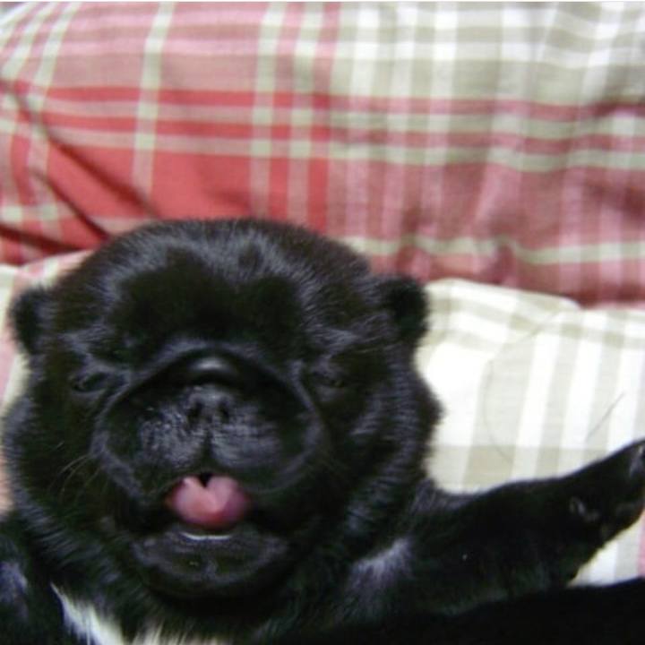 3ad4975a 6fa7 4d44 b1a3 01473d7734a2 1574820525389