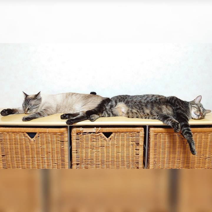 3ad49e83 9cf1 45c0 bcc2 d2eaacb69e56 1626099624752