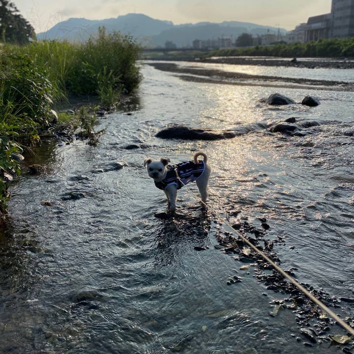 3ad4a34e 3865 4122 8d1e 5f0558f38f23 1596630138823