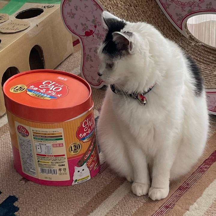 3ad4ba2d 2162 4cfa 8b67 911002c614cf 1742550643116