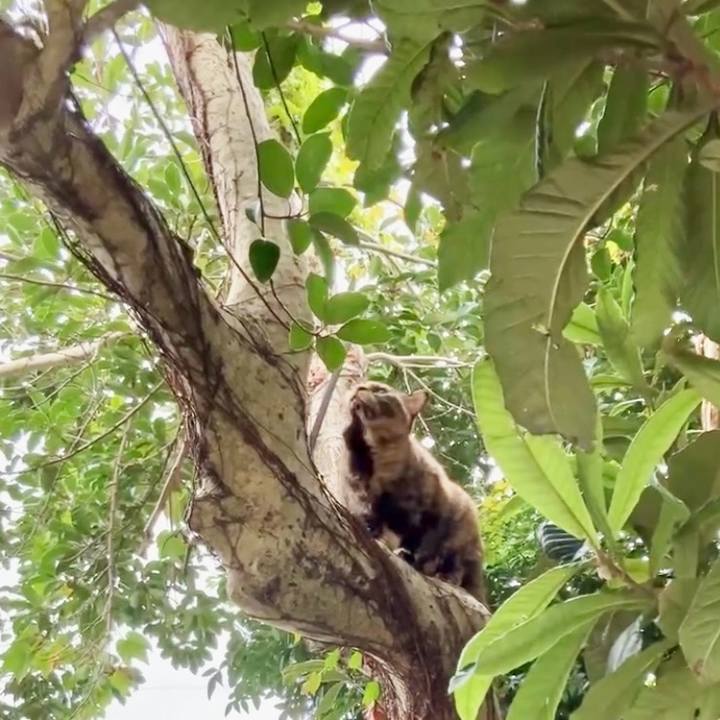 3ad4bd0e 0ba6 41e1 aeba 7c4885507006 1730346700817