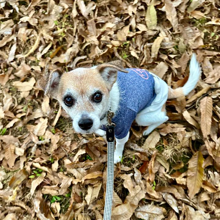 3ad4bff3 d179 481b aec6 8992a8d5a4e9 1669104307014