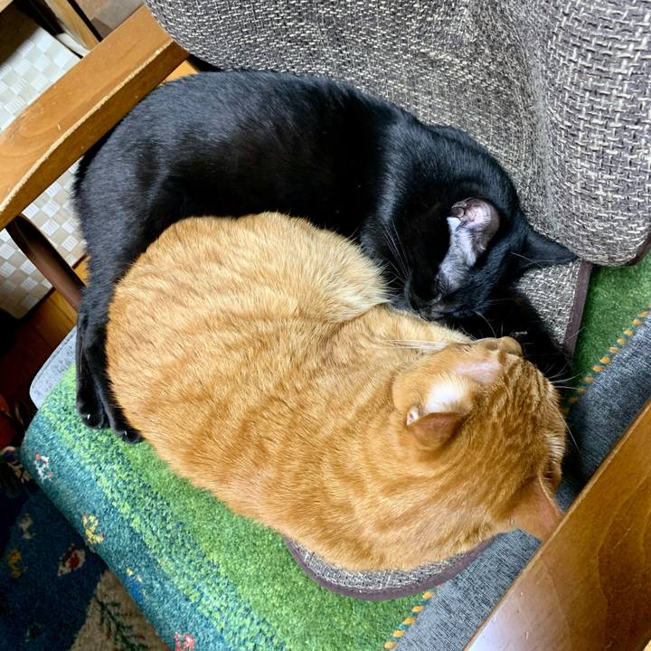 3ad4ef23 04e1 4d8b 9d6e af5df043d7c7 1653383879019