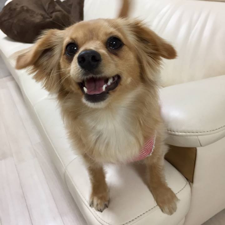 3ad4f2b5 2a40 4bae af0c c53cf58f90a3 1550751893981