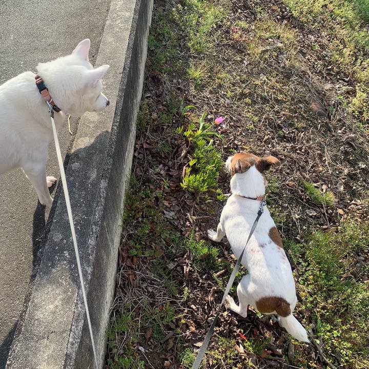 3ad52f33 5936 43d9 a254 9052ffc88562 1553388499039