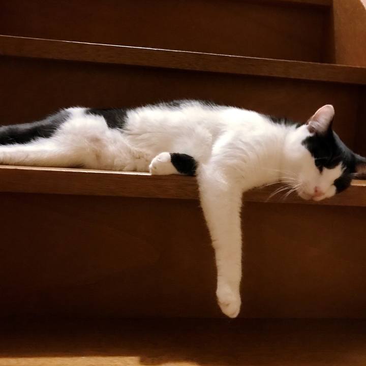 3ad5415d 7614 4713 9562 0758cb653f27 1508978939933