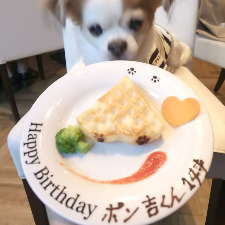 3ad55488 67cf 46ac b80f f52710a68c7a 1573965496806