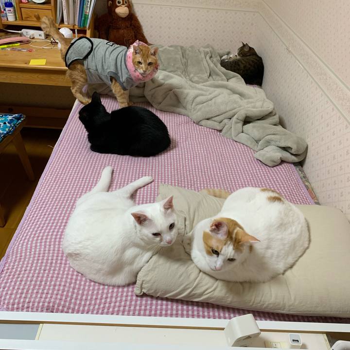 3ad5897b 812f 4a1f 8301 3dbe40f07c65 1635348065704