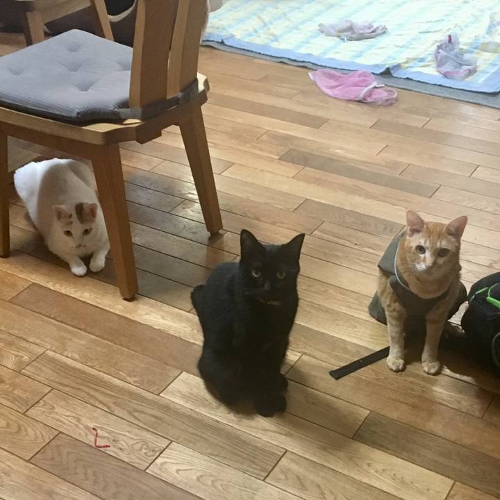 3ad5ec0c 9eb1 4395 879d 1a57bd491555 1532989713809