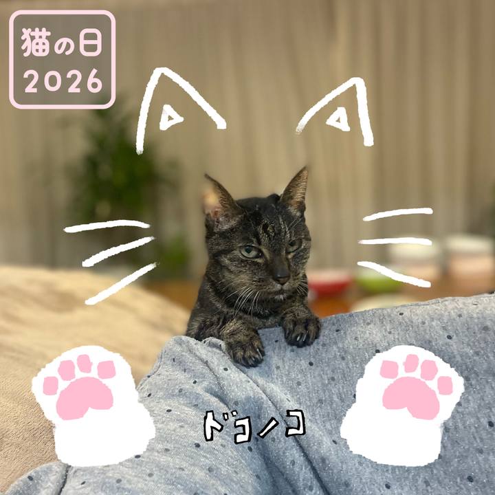 3ad605d2 8e04 446d 9238 010223190519 1771707877672