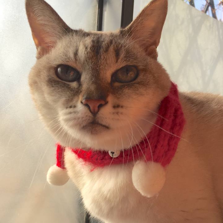 3ad61b92 c483 41c1 9fd5 7a81ad57c2a2 1543713351419